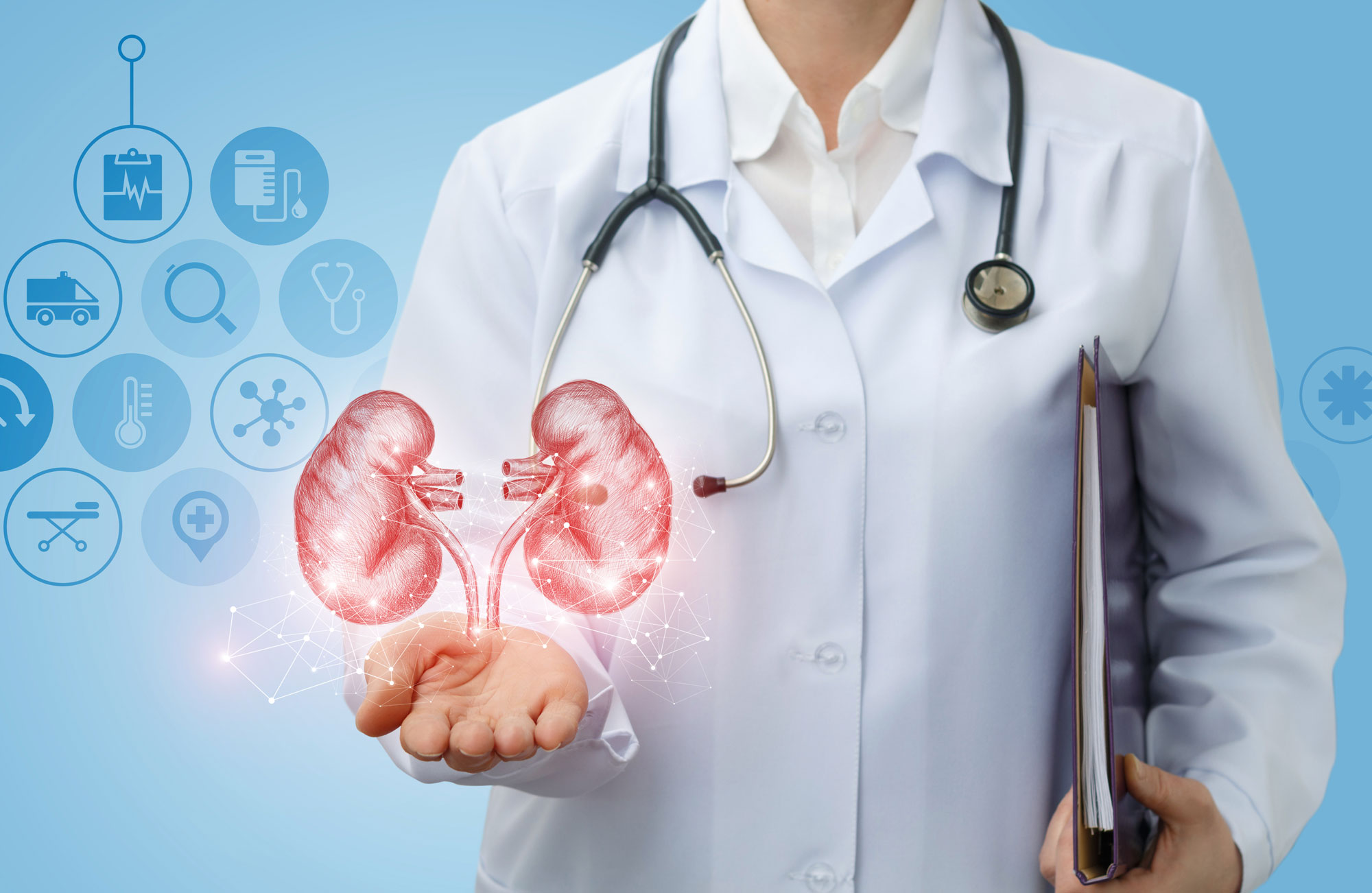 shutterstock_796769260_headercrop